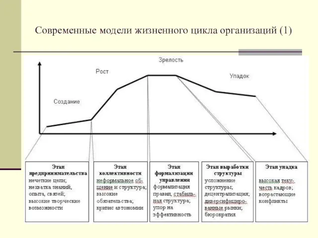 Современные модели жизненного цикла организаций (1)
