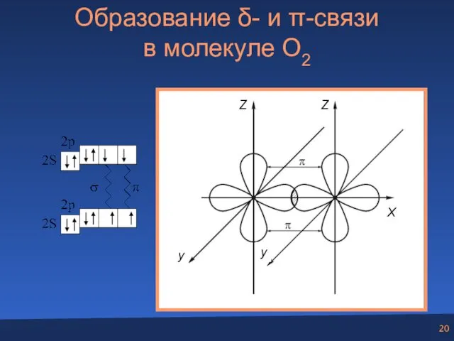 Образование δ- и π-связи в молекуле O2