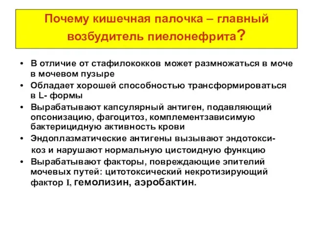 Почему кишечная палочка – главный возбудитель пиелонефрита? В отличие от