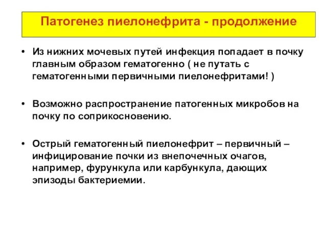 Патогенез пиелонефрита - продолжение Из нижних мочевых путей инфекция попадает