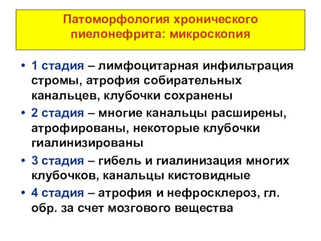 Патоморфология хронического пиелонефрита: микроскопия 1 стадия – лимфоцитарная инфильтрация стромы,