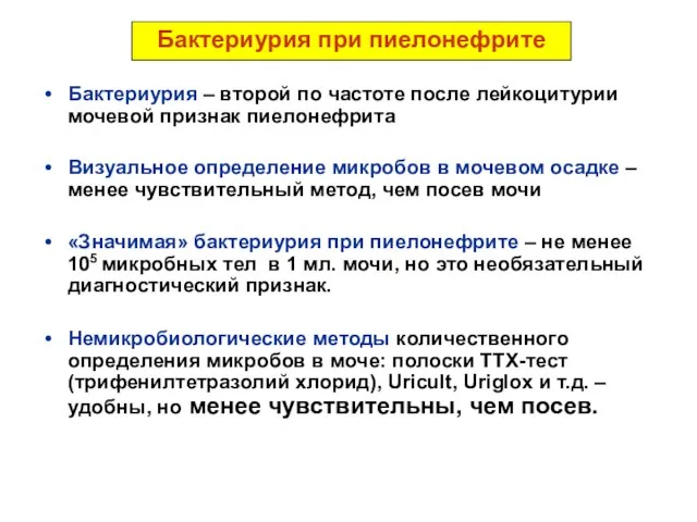 Бактериурия при пиелонефрите Бактериурия – второй по частоте после лейкоцитурии