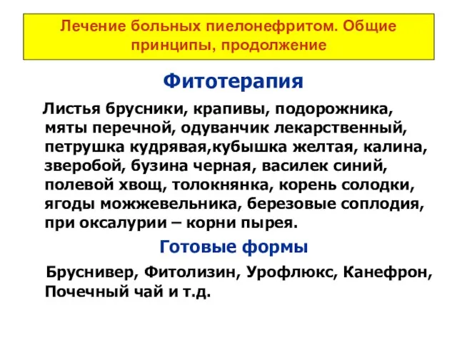 Лечение больных пиелонефритом. Общие принципы, продолжение Фитотерапия Листья брусники, крапивы,