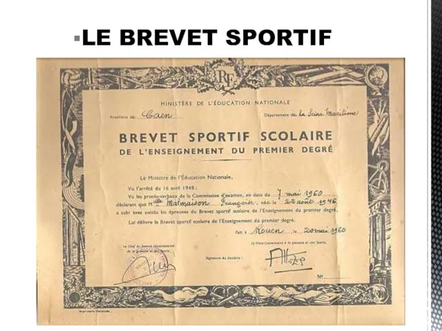 LE BREVET SPORTIF