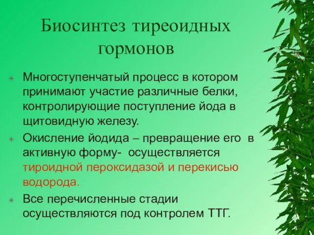 Биосинтез тиреоидных гормонов Многоступенчатый процесс в котором принимают участие различные