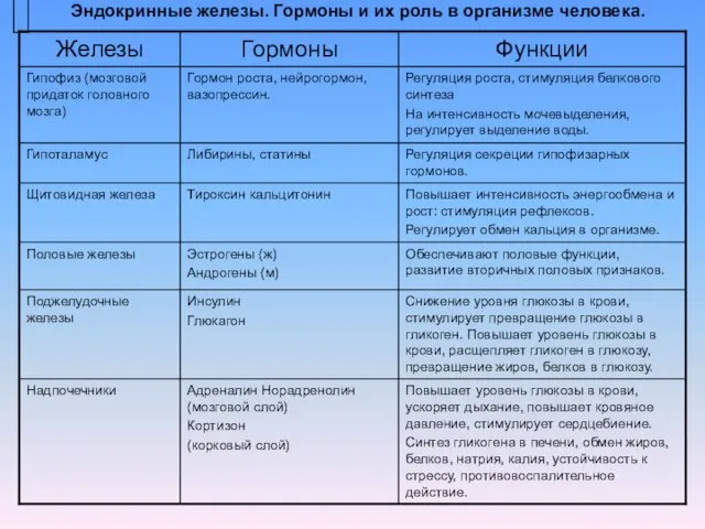 Эндокринные железы. Гормоны и их роль в организме человека.