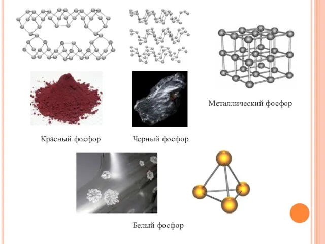 Красный фосфор Черный фосфор Белый фосфор Металлический фосфор