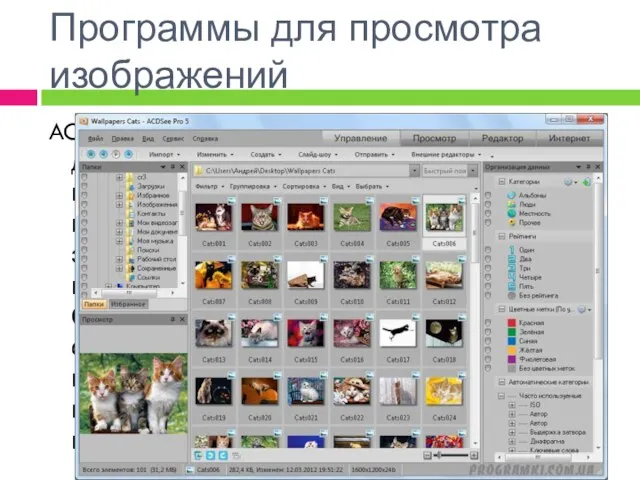 Программы для просмотра изображений ACDSee - многофункциональная программа для просмотра