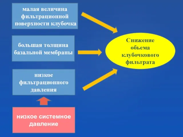 малая величина фильтрационной поверхности клубочка низкое системное давление большая толщина