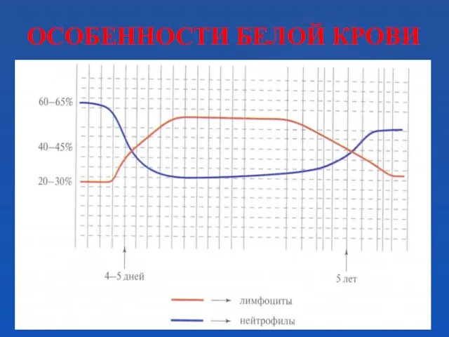 ОСОБЕННОСТИ БЕЛОЙ КРОВИ