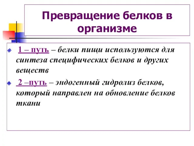 Превращение белков в организме 1 – путь – белки пищи