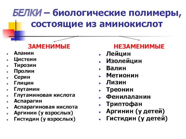 БЕЛКИ – биологические полимеры, состоящие из аминокислот ЗАМЕНИМЫЕ Аланин Цистеин