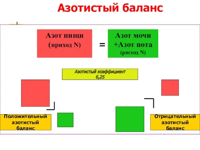 Азотистый баланс Азот пищи (приход N) Азот мочи +Азот пота