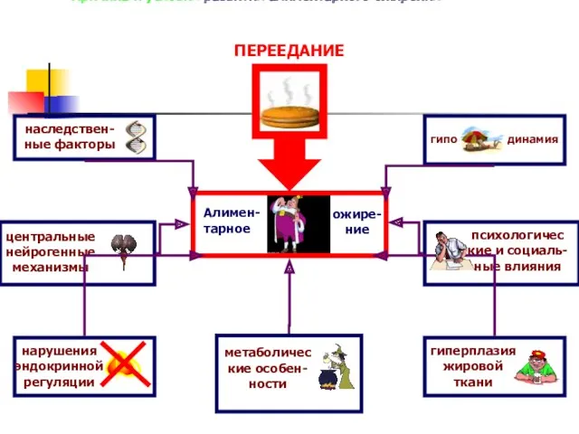 ПЕРЕЕДАНИЕ наследствен- ные факторы центральные нейрогенные механизмы нарушения эндокринной регуляции