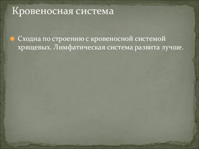 Сходна по строению с кровеносной системой хрящевых. Лимфатическая система развита лучше. Кровеносная система