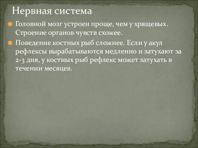 Головной мозг устроен проще, чем у хрящевых. Строение органов чувств