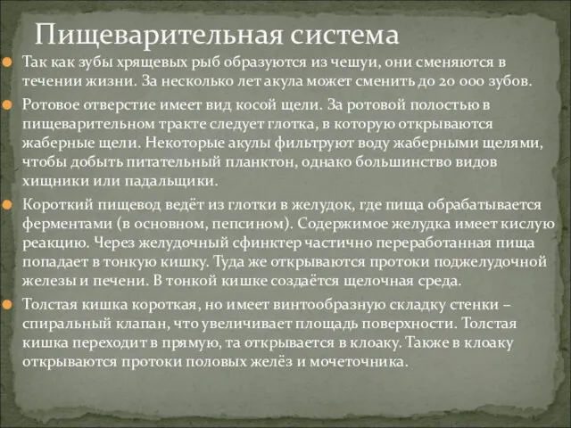 Так как зубы хрящевых рыб образуются из чешуи, они сменяются