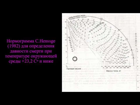 Нормограмма C.Henssge (1982) для определения давности смерти при температуре окружающей среды +23,2 Сᵒ и ниже