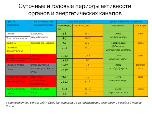 Суточные и годовые периоды активности органов и энергетических каналов в