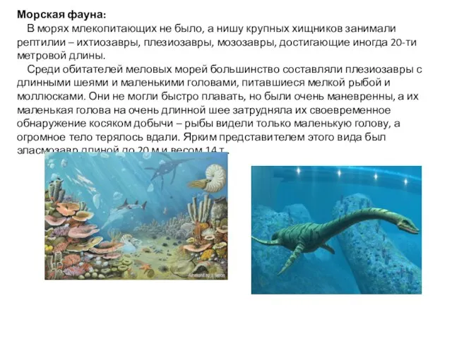 Морская фауна: В морях млекопитающих не было, а нишу крупных хищников занимали рептилии