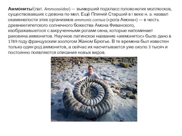 Аммониты[(лат. Ammonoidea) — вымерший подкласс головоногих моллюсков, существовавших с девона
