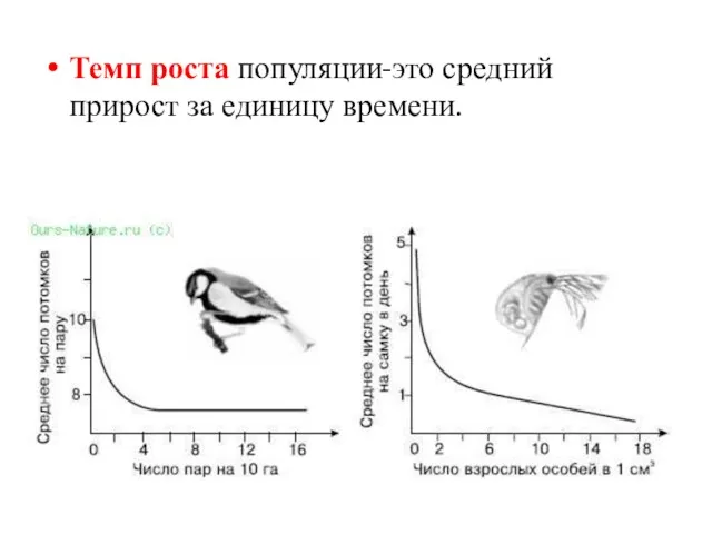 Темп роста популяции-это средний прирост за единицу времени.