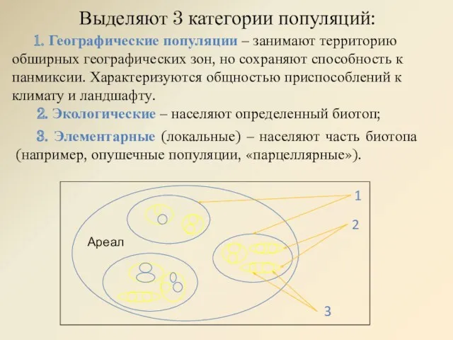 1. Географические популяции – занимают территорию обширных географических зон, но