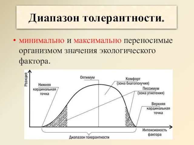 Диапазон толерантности. минимально и максимально переносимые организмом значения экологического фактора.