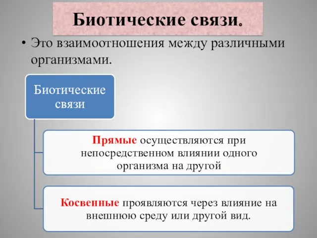 Биотические связи. Это взаимоотношения между различными организмами.