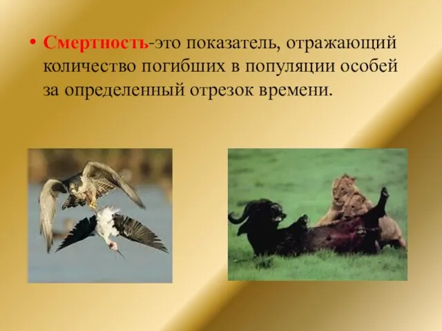 Смертность-это показатель, отражающий количество погибших в популяции особей за определенный отрезок времени.