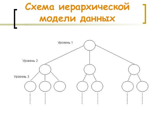 Схема иерархической модели данных