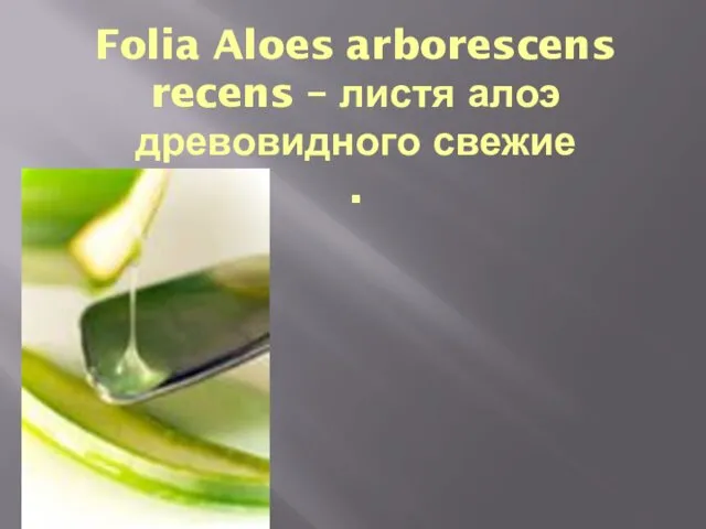 Folia Aloes arborescens recens – листя алоэ древовидного свежие .