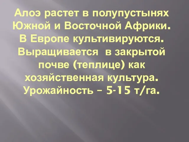 Алоэ растет в полупустынях Южной и Восточной Африки. В Европе культивируются. Выращивается в