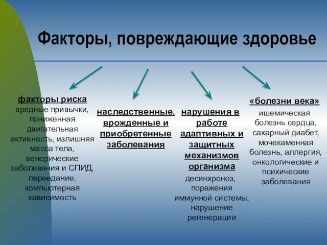 Факторы, повреждающие здоровье «болезни века» ишемическая болезнь сердца, сахарный диабет,