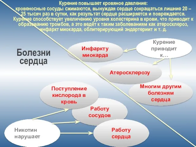 Болезни сердца Курение приводит к… Многим другим болезням сердца Работу