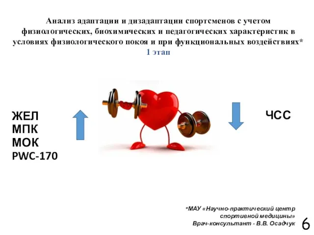 ЖЕЛ МПК МОК PWC-170 ЧСС Анализ адаптации и дизадаптации спортсменов