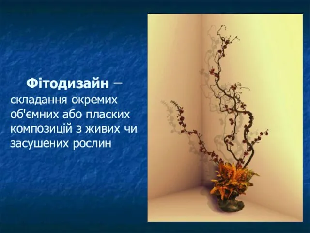 Фітодизайн – складання окремих об'ємних або пласких композицій з живих чи засушених рослин