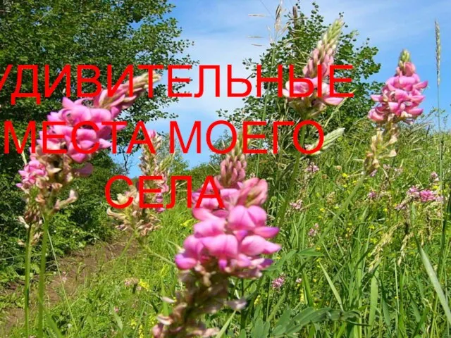 УДИВИТЕЛЬНЫЕ МЕСТА МОЕГО СЕЛА