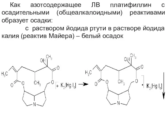 Как азотсодержащее ЛВ платифиллин с осадительными (общеалкалоидными) реактивами образует осадки: