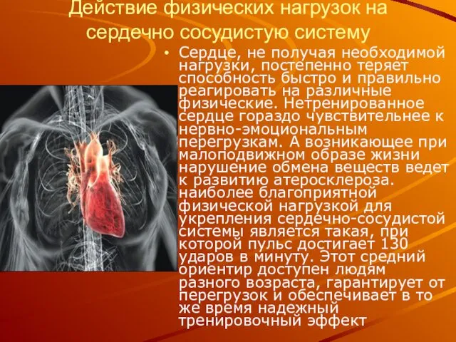 Действие физических нагрузок на сердечно сосудистую систему Сердце, не получая