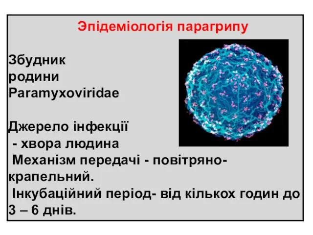 Эпідеміологія парагрипу Збудник родини Paramyxoviridae Джерело інфекції - хвора людина