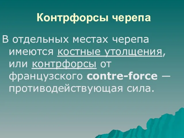 Контрфорсы черепа В отдельных местах черепа имеются костные утолщения, или