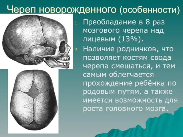 Череп новорожденного (особенности) Преобладание в 8 раз мозгового черепа над