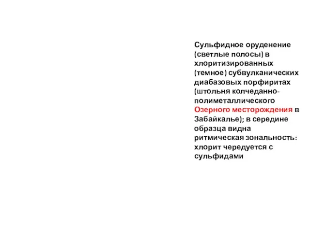 Сульфидное оруденение (светлые полосы) в хлоритизированных (темное) субвулканических диабазовых порфиритах