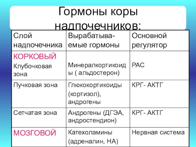 Гормоны коры надпочечников: