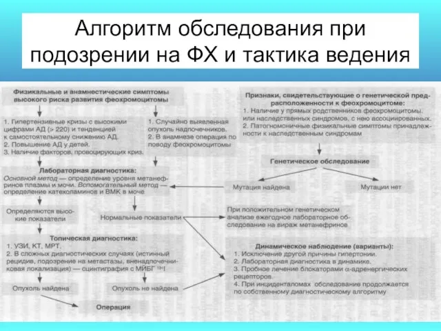 Алгоритм обследования при подозрении на ФХ и тактика ведения