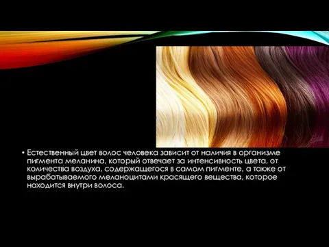 Естественный цвет волос человека зависит от наличия в организме пигмента