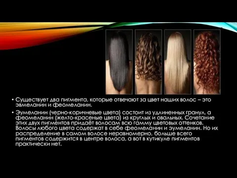 Существует два пигмента, которые отвечают за цвет наших волос –