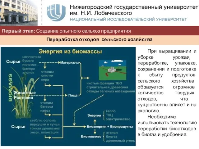 Первый этап: Создание опытного сельхоз предприятия Переработка отходов сельского хозяйства