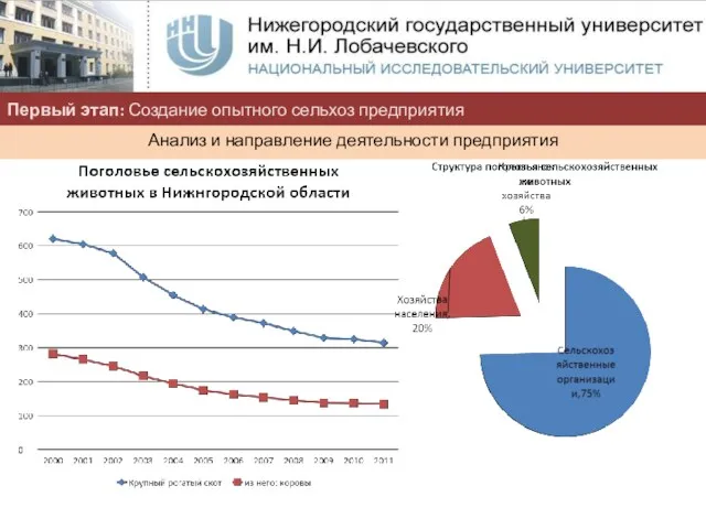 Первый этап: Создание опытного сельхоз предприятия Анализ и направление деятельности предприятия